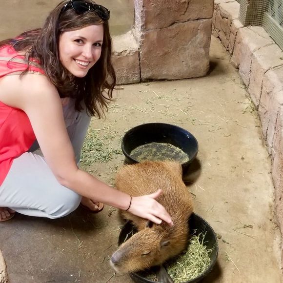 Meet your Posher, Chelsea - Picture 1 of 1